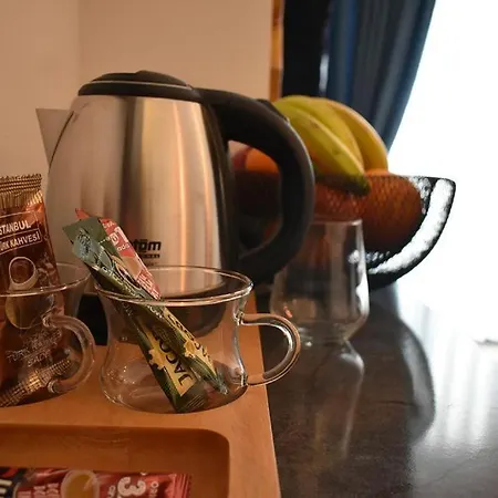 酒店 阿维西拉精英酒店 伊斯坦布尔