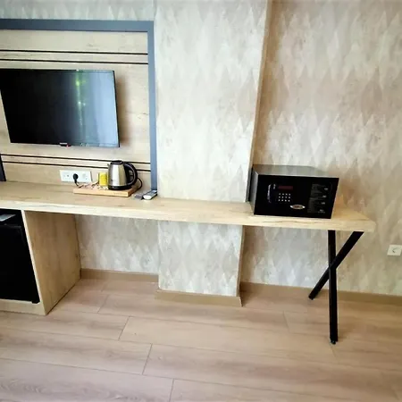 阿维西拉精英酒店 酒店 伊斯坦布尔