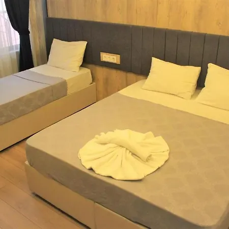 酒店 阿维西拉精英酒店