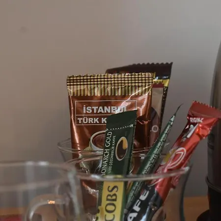 阿维西拉精英酒店 伊斯坦布尔